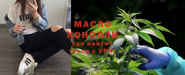 индика Михайловка