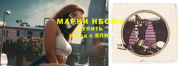 индика Михайловка